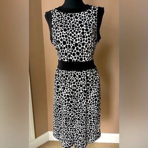 Talbots Animal Print Dress PETITE